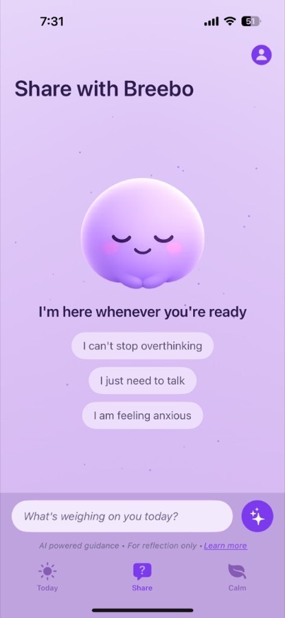 Breebo Share chat screen in light theme